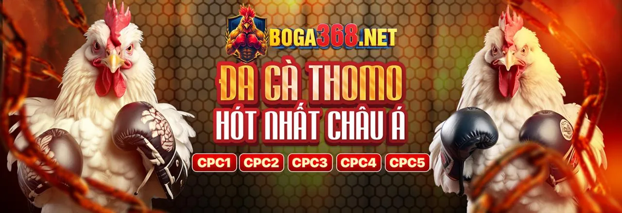 Đá Gà Trực Tuyến win678 code